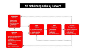 mo hinh quan ly nhan su harvard