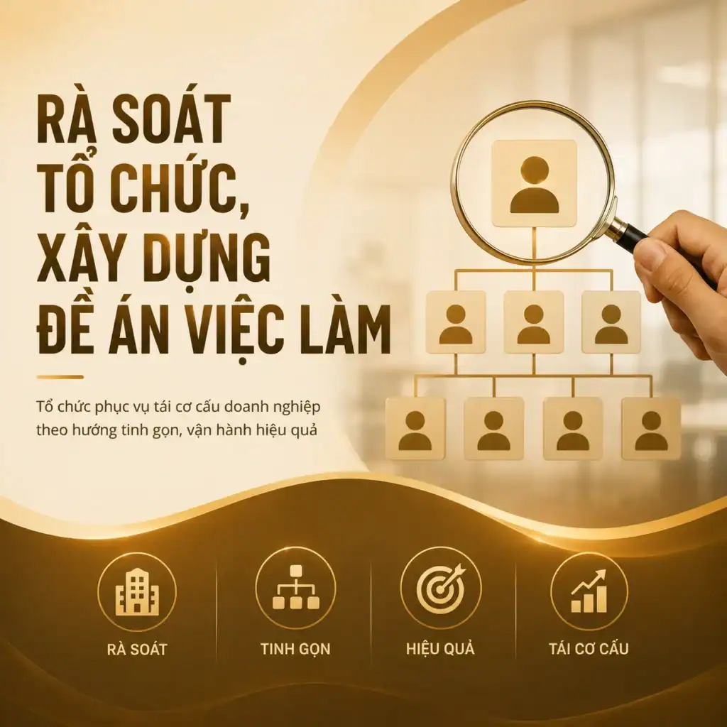 RÀ SOÁT TỔ CHỨC VÀ XÂY DỰNG ĐỀ ÁN VIỆC LÀM 1 TƯ VẤN DOANH NGHIỆP